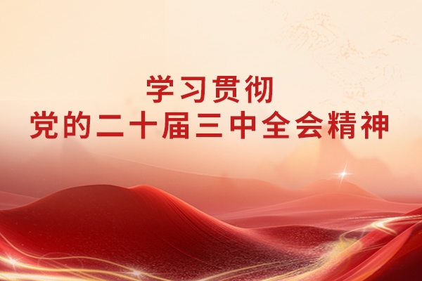 山东重工集团党委理论学习中心组围绕贯彻落实党的二十届三中全会精神开展专题学习研讨